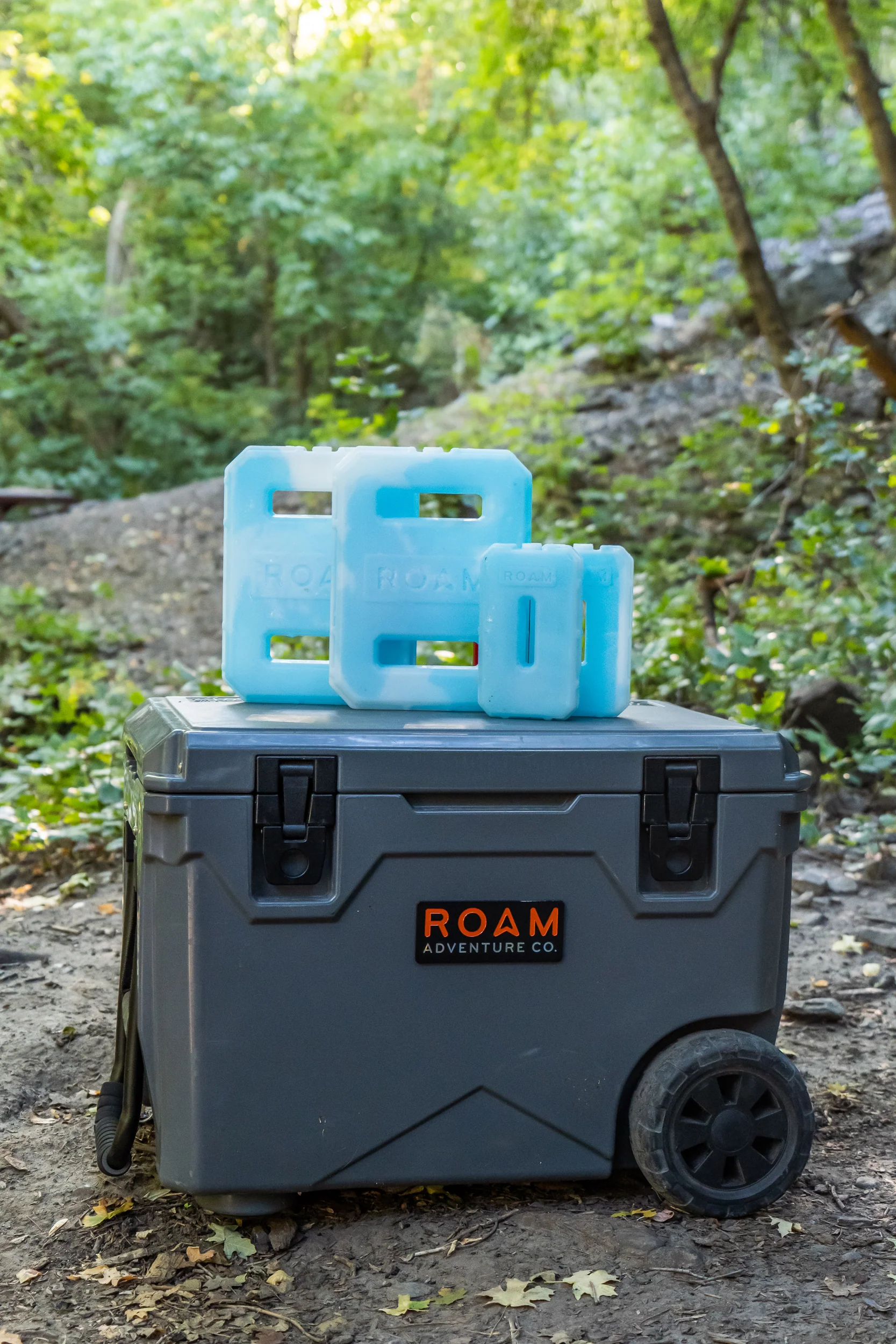 ROAM Ice Pack - Image 10