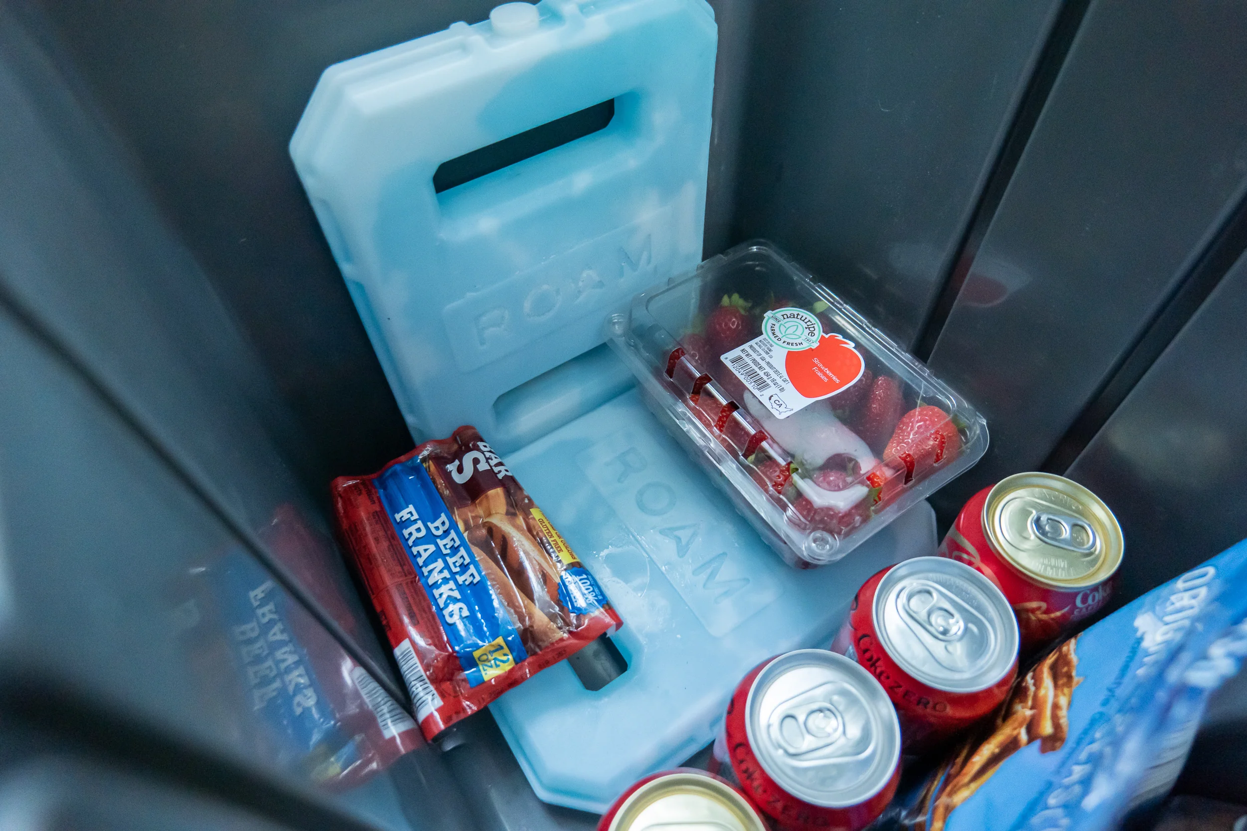 ROAM Ice Pack - Image 13