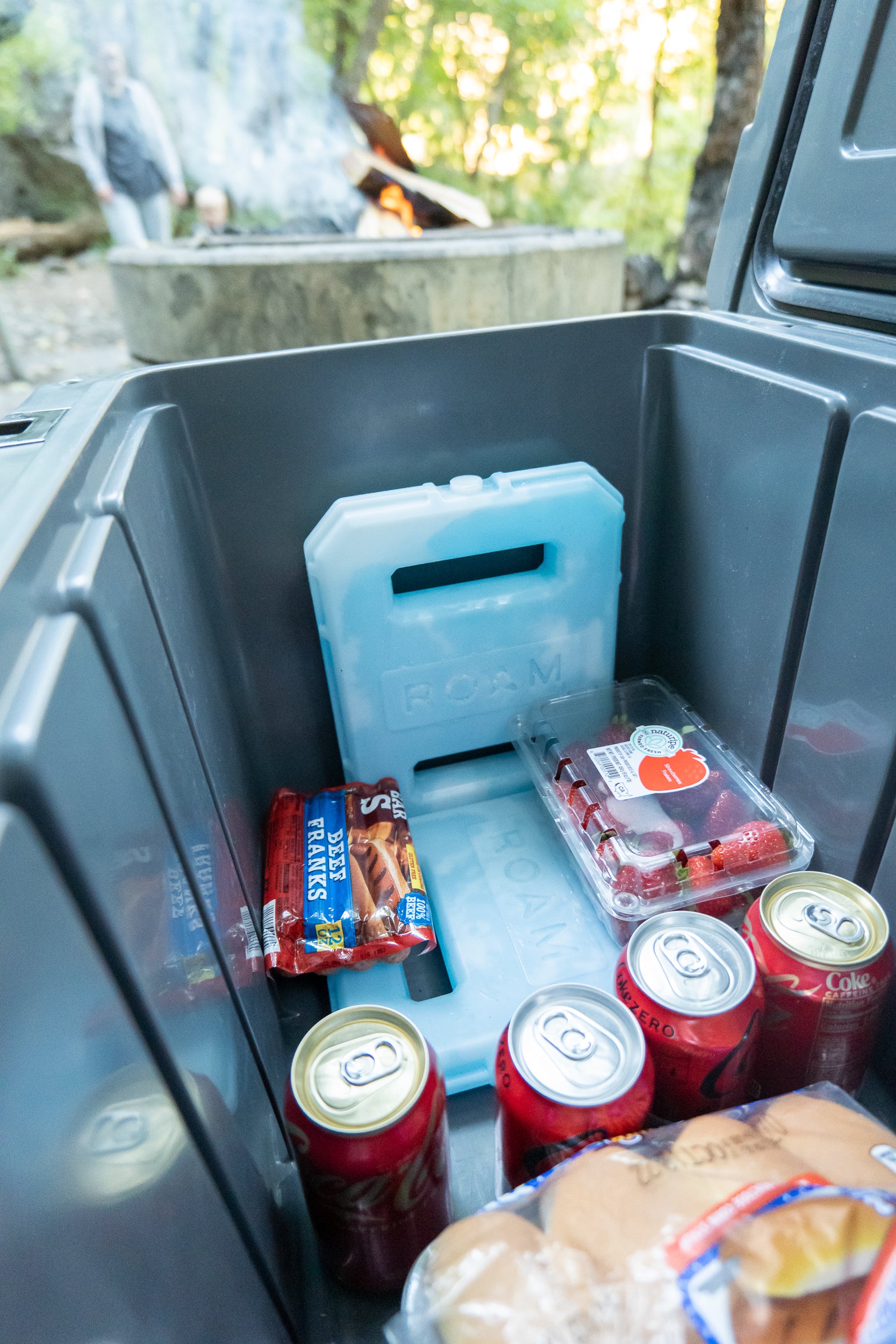 ROAM Ice Pack - Image 14