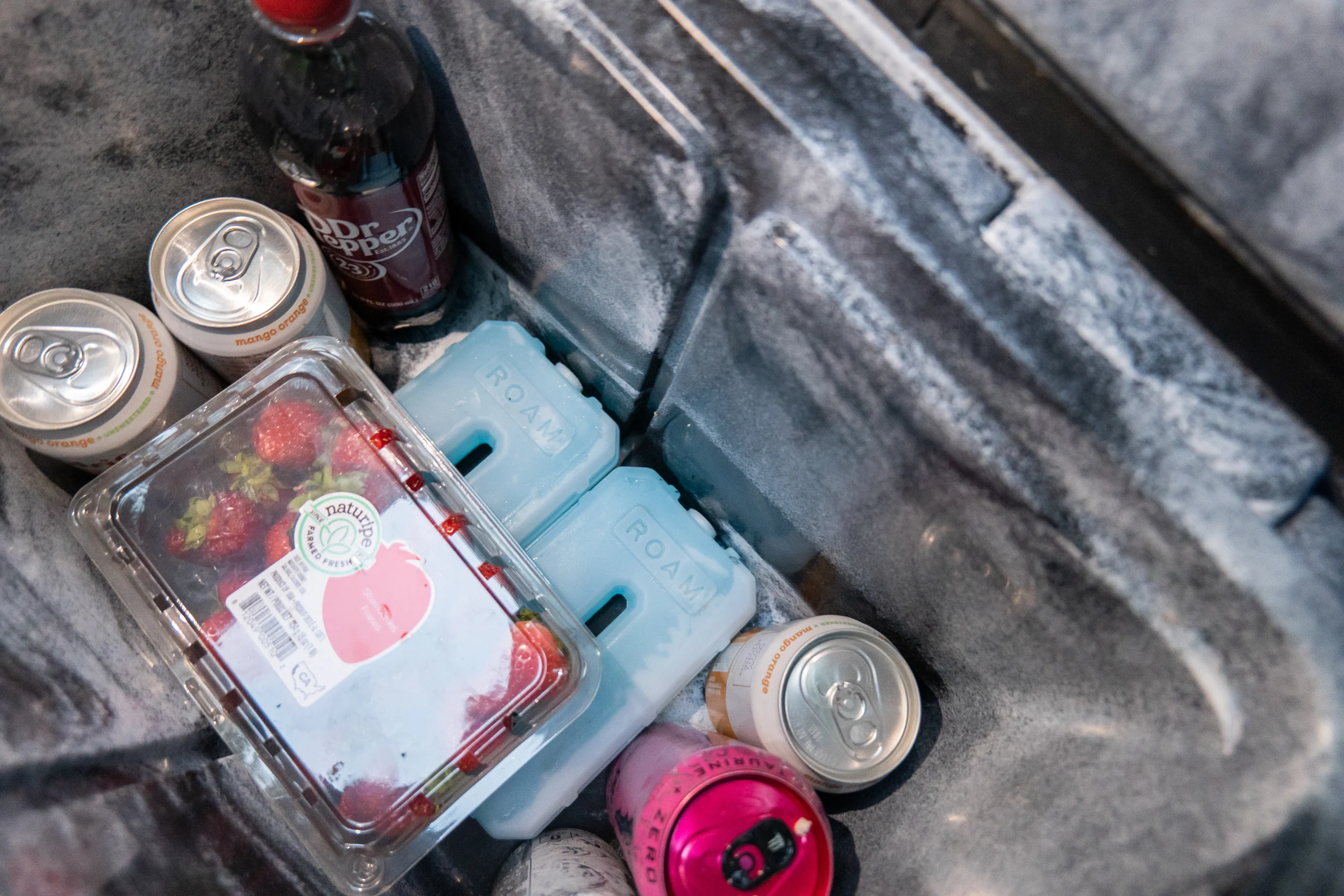 ROAM Ice Pack - Image 16